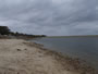 Lake Fork shoreline. Lake Fork, TX