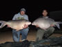 Ever seen two 50lb buffs at once. You have now! Lake Fork, TX