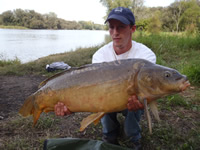 Sean Lehrer with an impressive 16 lb 4 oz Mirror caught during Session 3 of Wild Carp Club at Howland Island (Port Byron, NY).