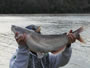 Photo from Session 2 of the Wild Carp Club of Austin, held February 4, 2012 at Town Lake.