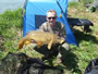 Vali Pavaloaia with one of his many carp caught during session 1 of the Wild Carp Club of Quebec.