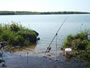 A rod awaiting a carp during session 1.