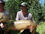 Kent Appleby with a 17.8 lb common caught during Session 1 of the Fall 2011 season of Wild Carp Club of Central NY.