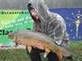 Rick Slinker (peg 15) with an 8 lb mirror caught during day 2 of the Wild Carp Fall Qualifier.