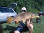 Kent Appleby with an 18.4 lb common caught during hour 9 of the CNY Shootout.