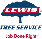 www.lewistree.com