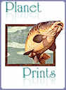 http://www.planetprints.com/