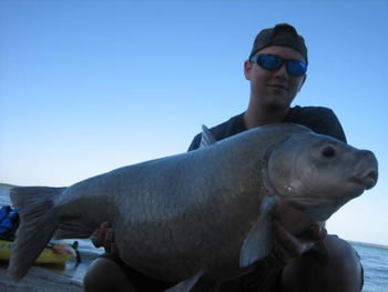 Wild Carp Club of Houston Director Nick Davis with a 42+ lb Smallmouth Buffalo