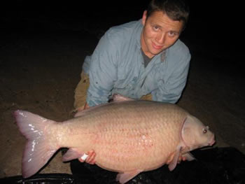 Wild Carp Club of Houston Director Nick Davis with a 56+ lb Smallmouth Buffalo caught in Texas